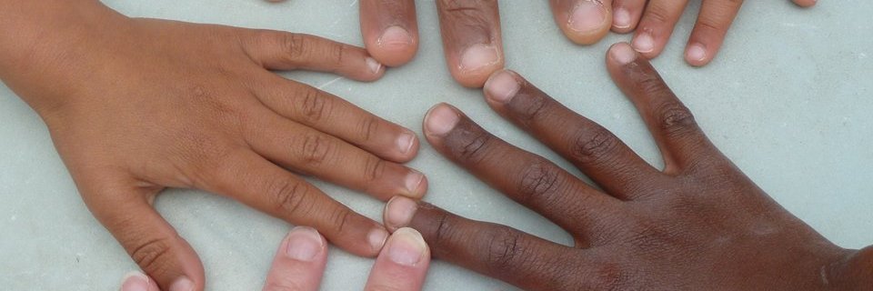 Silvia CamaraTombini banner