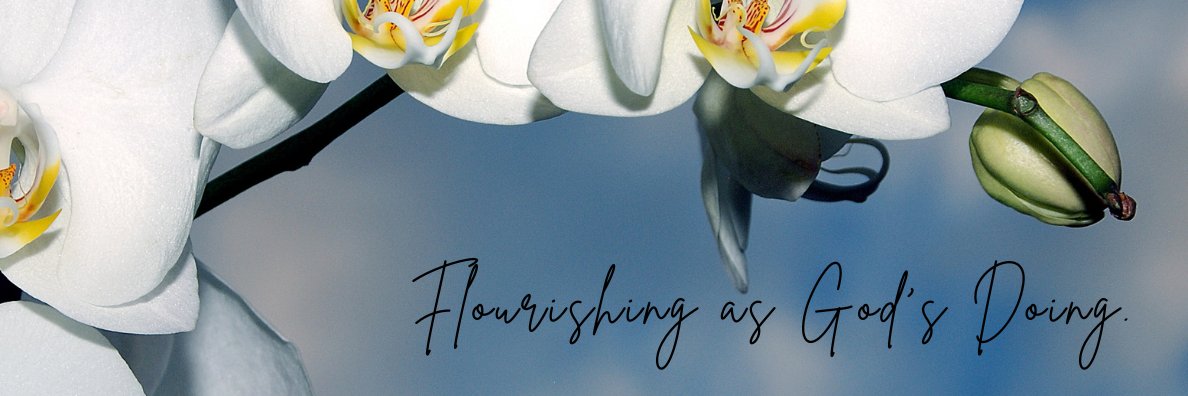 morounsayo's profile banner image