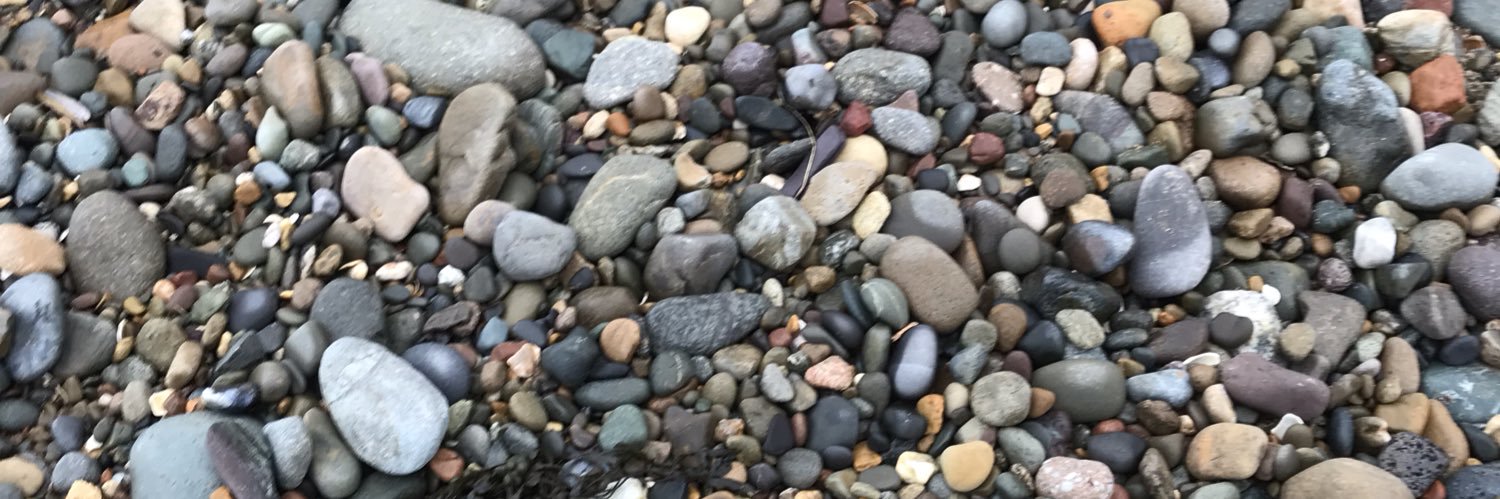 CrisTonks's profile banner image