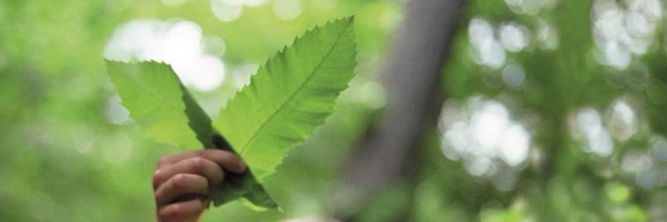 Pottin Vincent banner