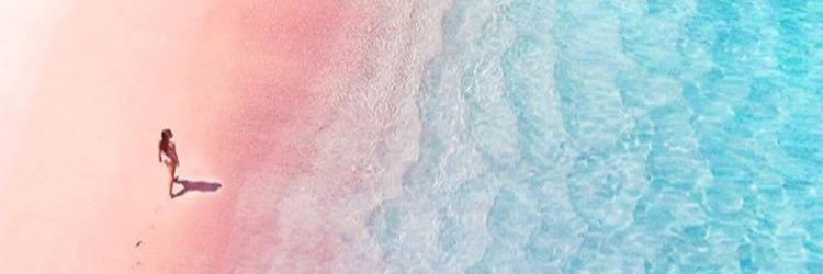 Rachel Zoldan banner