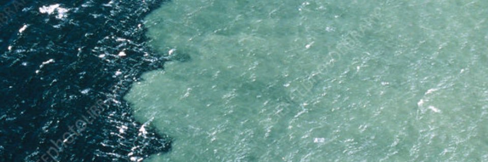 TiffConn's profile banner image