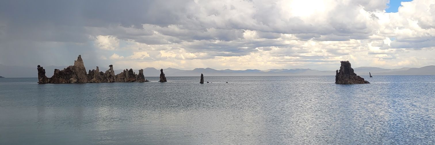 Andrew Wainer banner