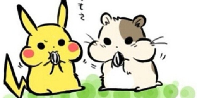 candybears4u's profile banner image