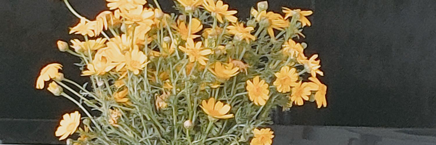 Ülkü Kale Karaaslan banner