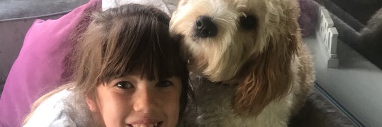 haleshotty's profile banner image