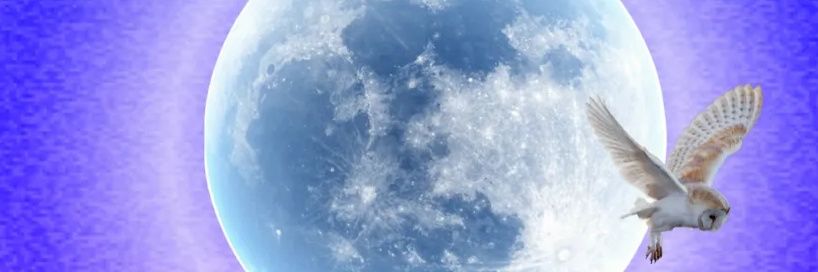 rabbittnarak's profile banner image