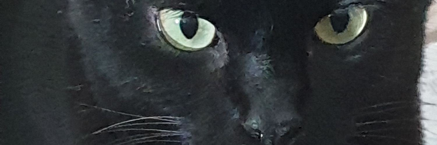 SarahBalchin's profile banner image