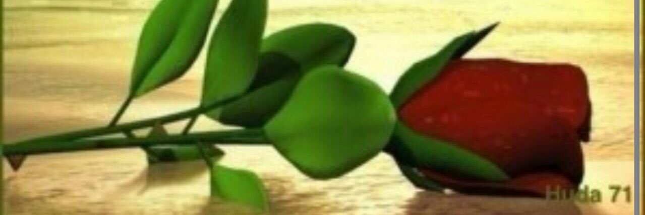 ALIHASEEN's profile banner image