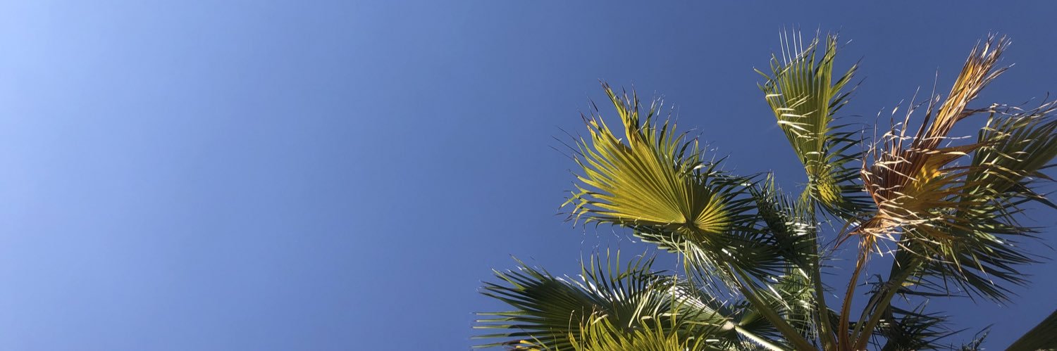 erihlv's profile banner image