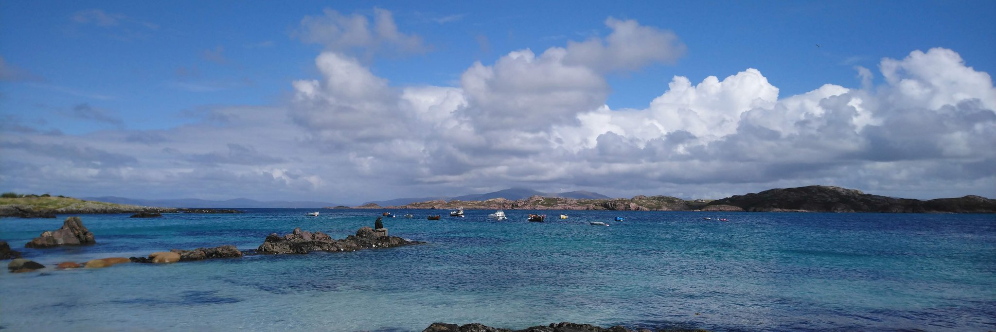 Elizabeth Harrison banner