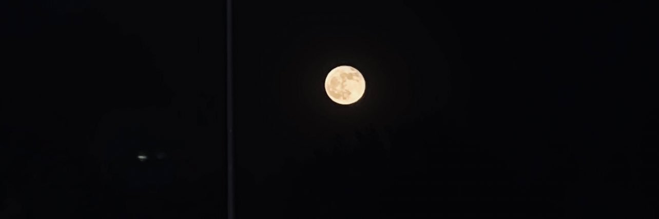 Erika_Simmmons's profile banner image