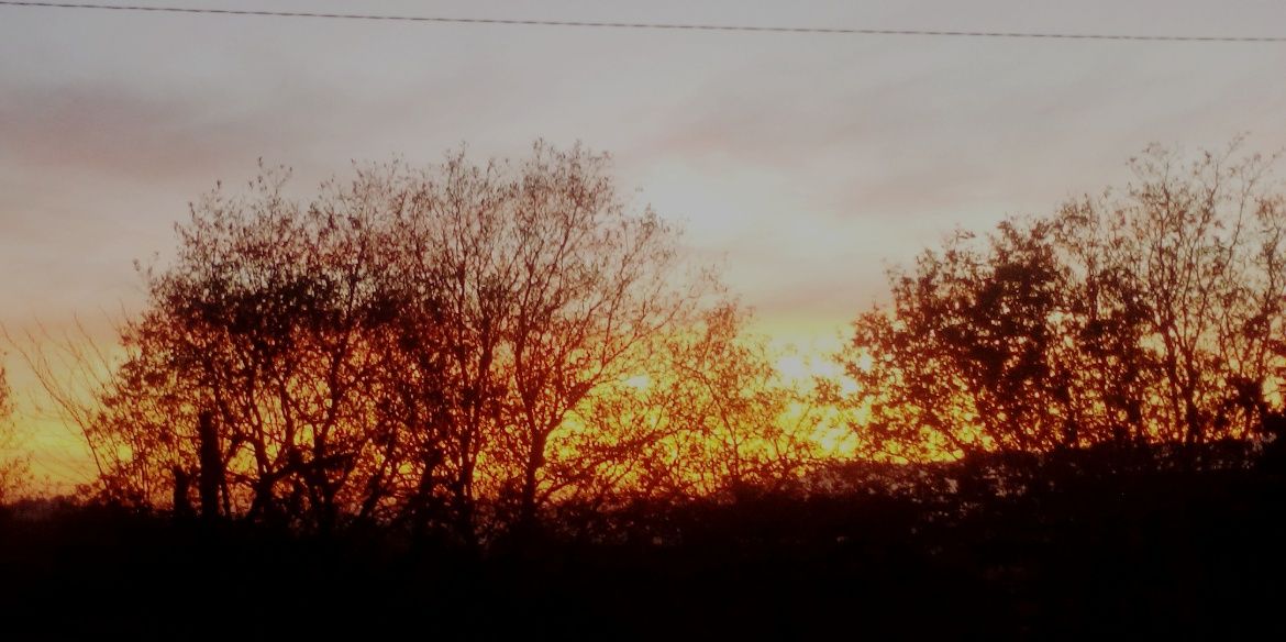 Jessica_rodg's profile banner image