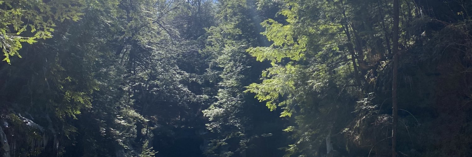 Liz_Jenkins7's profile banner image