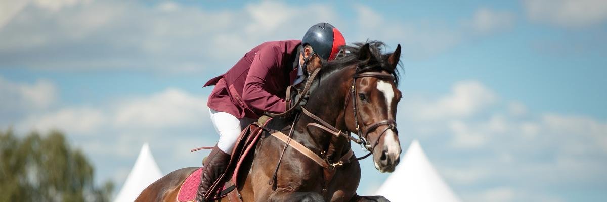 nkyktkvr's profile banner image
