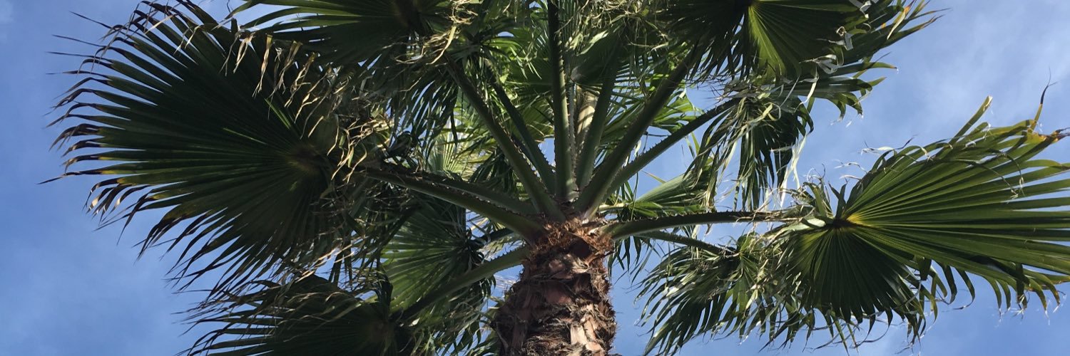 KristaRumback14's profile banner image