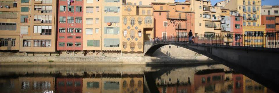 Dustin Williamson banner