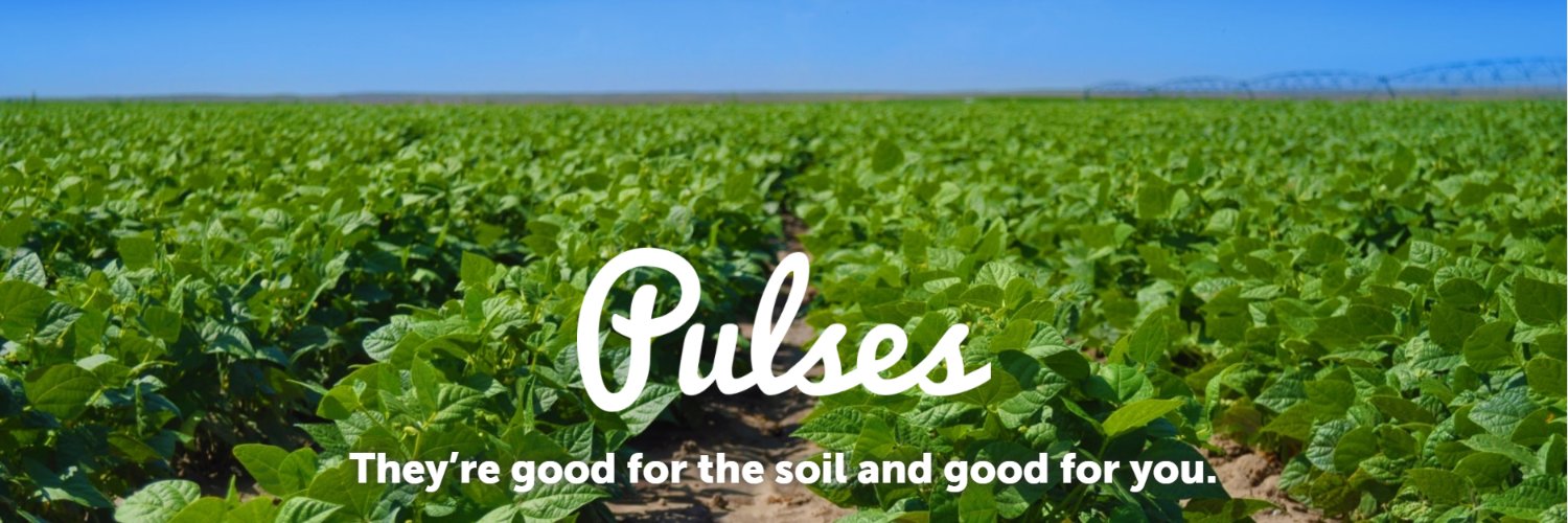 Nevin - Sustainability and Government Relations banner