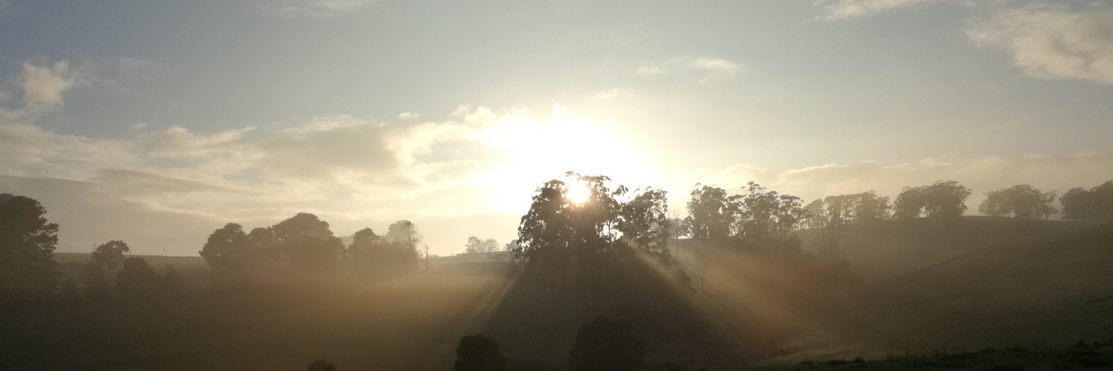 IlanInMirbooN's profile banner image