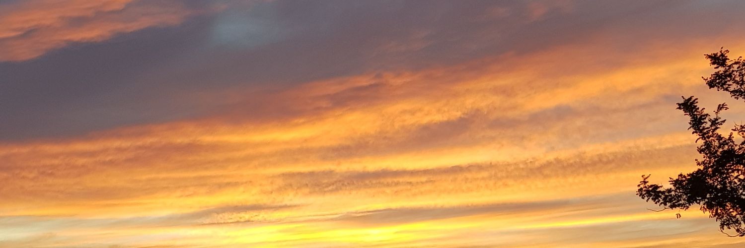 ViloSanchez's profile banner image