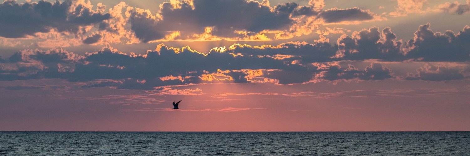 Le F ⭐️⭐️ banner