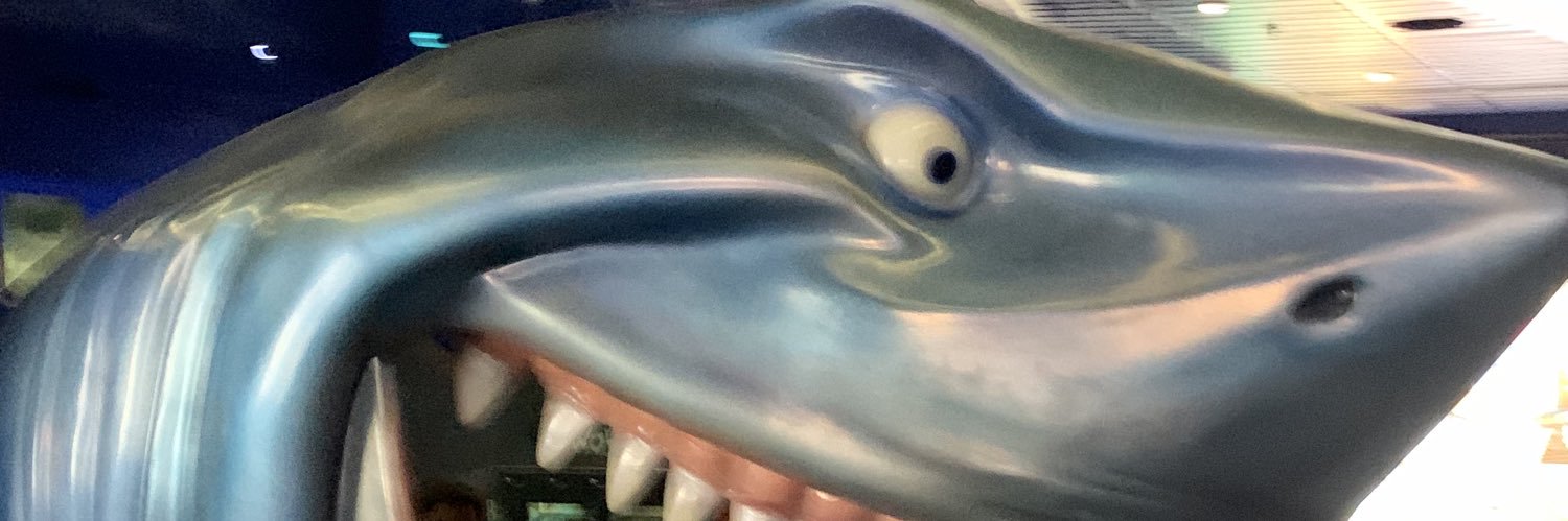 TexasWhatWhat's profile banner image