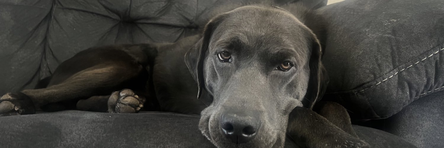 DombrowskiHaley's profile banner image