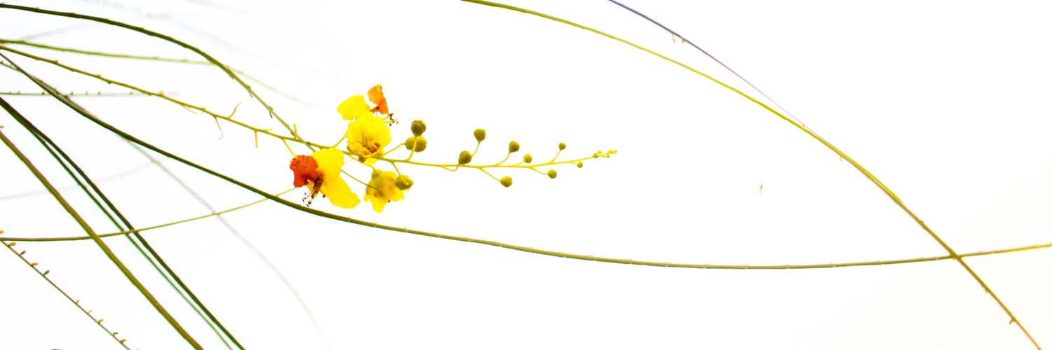 MR_S_88's profile banner image