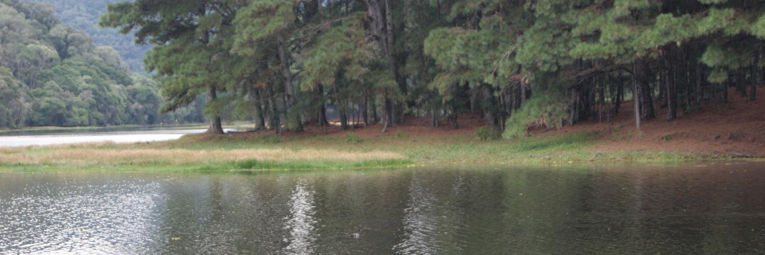 cagartner's profile banner image