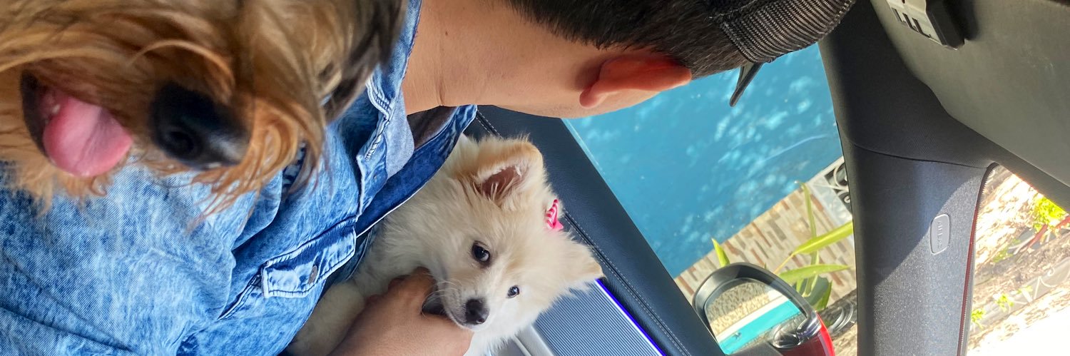 mrnnsnd's profile banner image