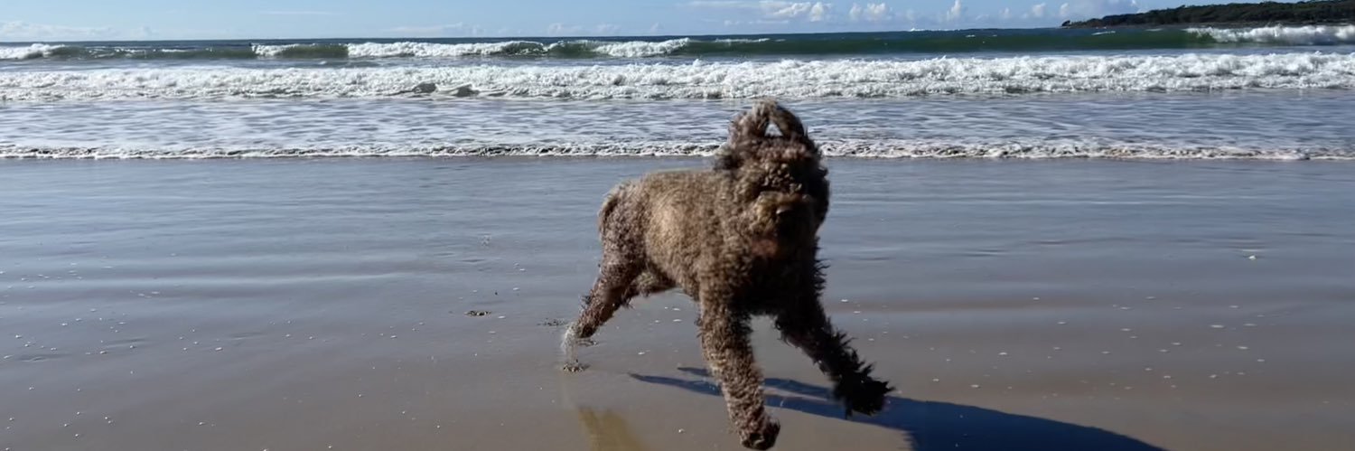 Craig Reucassel banner