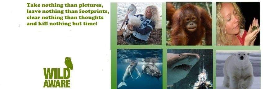 Malin_WildAware's profile banner image