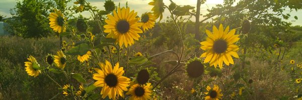 julzsg59 Profile Banner