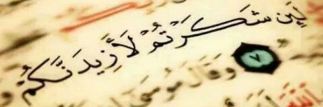 عفات سعد المسيعيد الجميلي banner