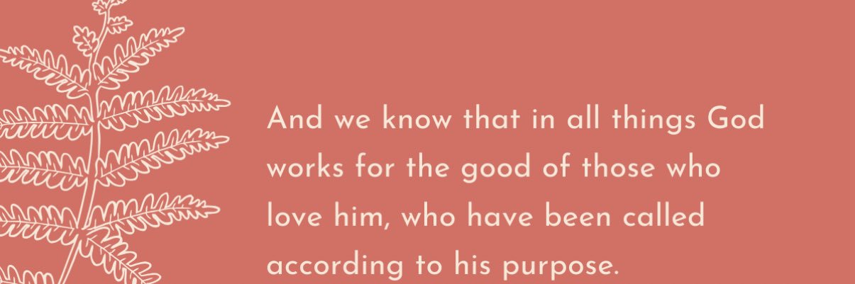 Prin 🇨🇲 banner