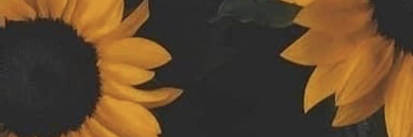 LookitsSydney_'s profile banner image