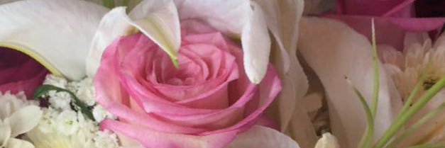 1000344's profile banner image
