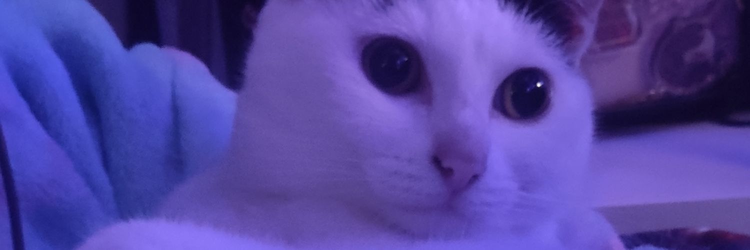 sombrelam's profile banner image