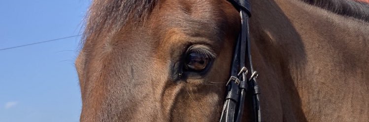 minners41's profile banner image
