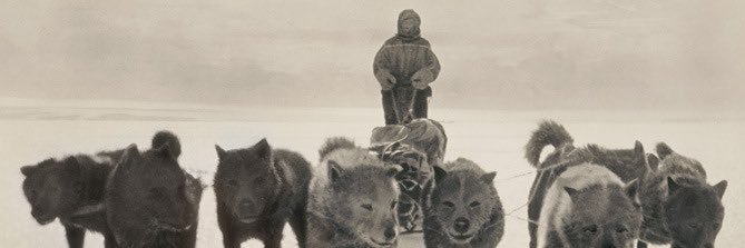 AlexStavroguine's profile banner image