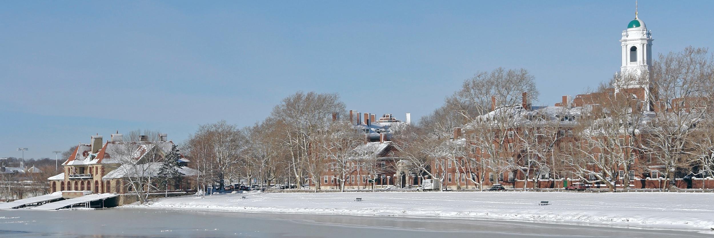 Felipe Fregni banner