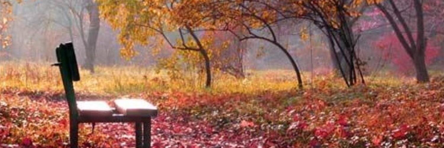 scpalette's profile banner image