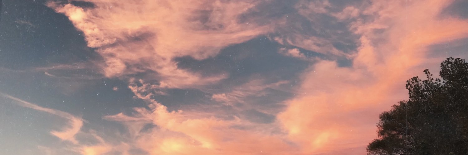 renee_donovan's profile banner image