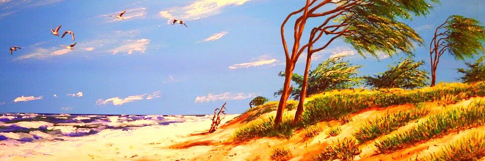 shawnbeachflow's profile banner image