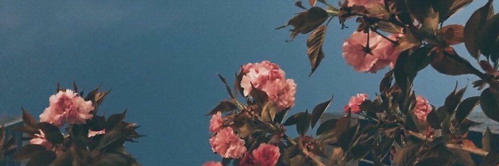aimicazeres's profile banner image