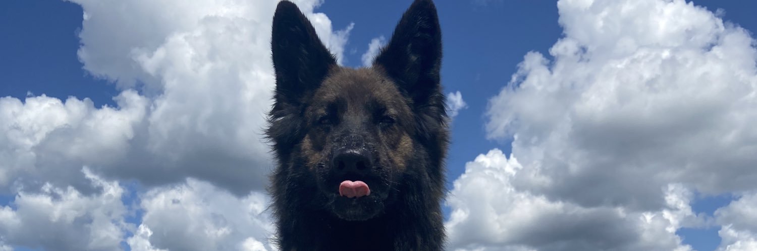 MDowdrick's profile banner image