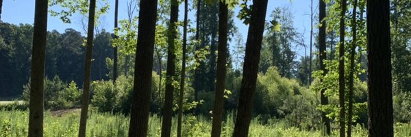 Suzmoconnor Profile Banner