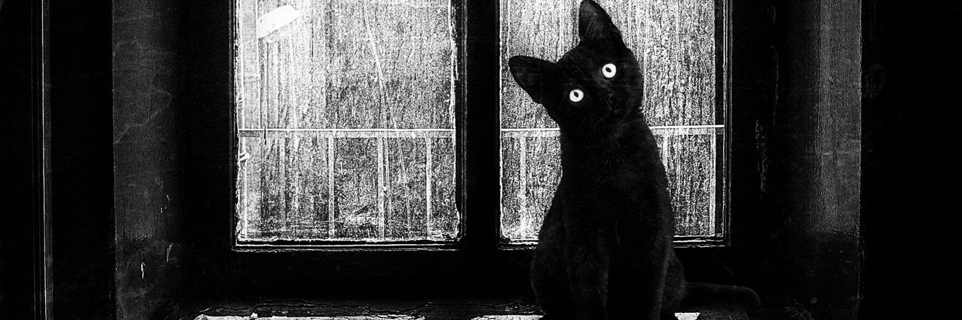 LaKitty ☮ banner