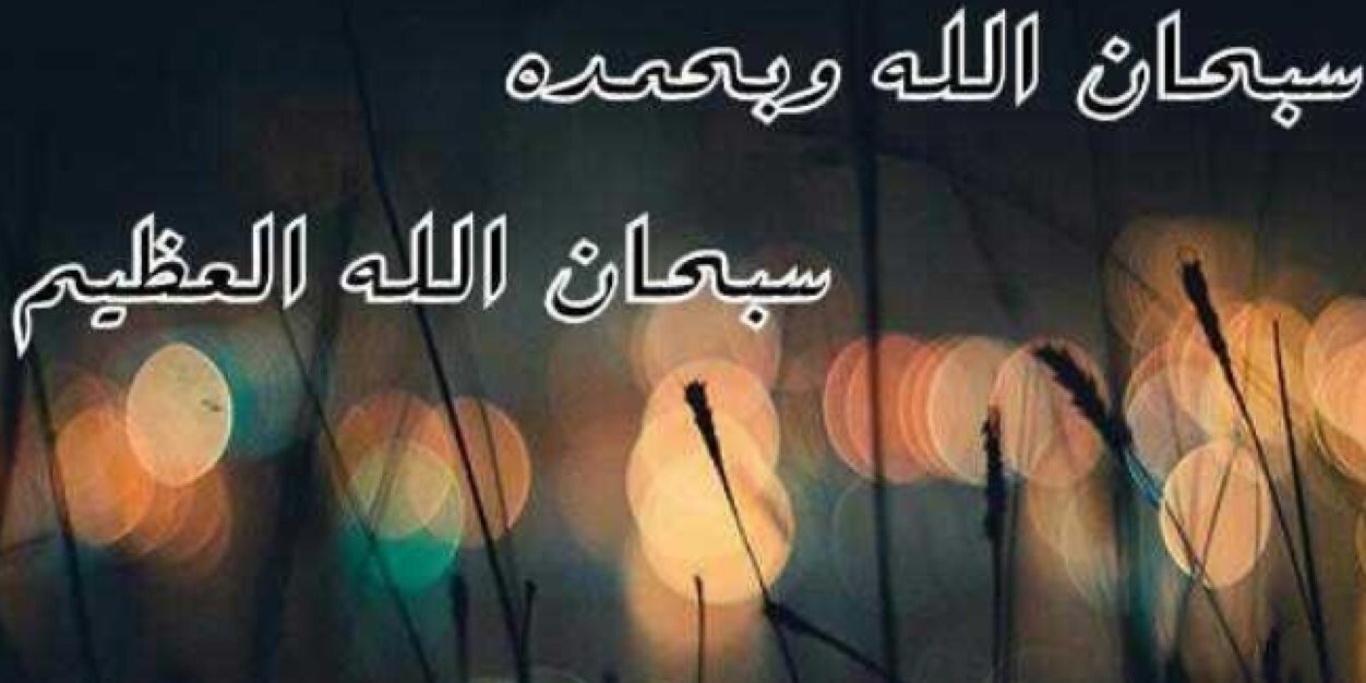 sb7anallh1's profile banner image