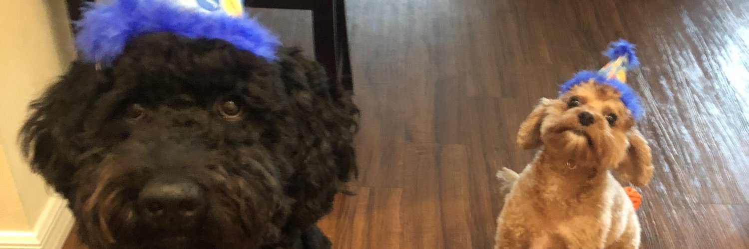 jackfromoutback banner